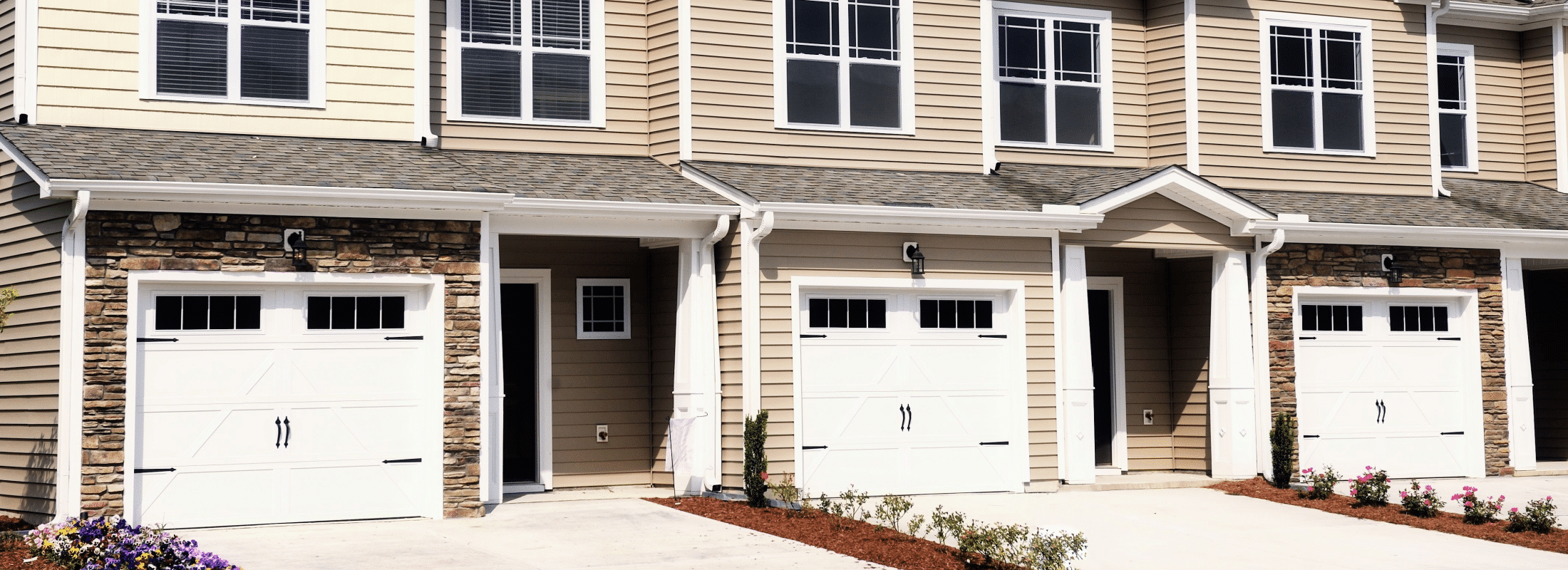 asset management (1)